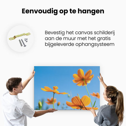 Canvas schilderij ophangen Oranje Cosmea Bloemen