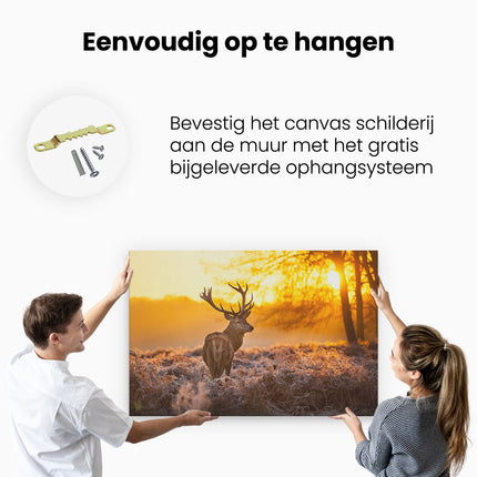 Canvas schilderij ophangen Hert In Bos Tijdens De Zonsopkomst