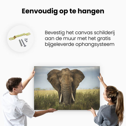 Canvas schilderij ophangen Olifant In Het Wild - Kleur