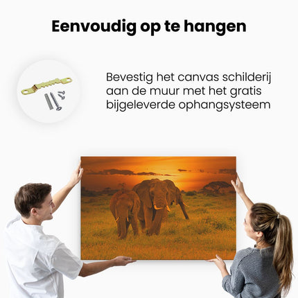 Canvas schilderij ophangen Olifanten In Het Wild - Zonsondergang