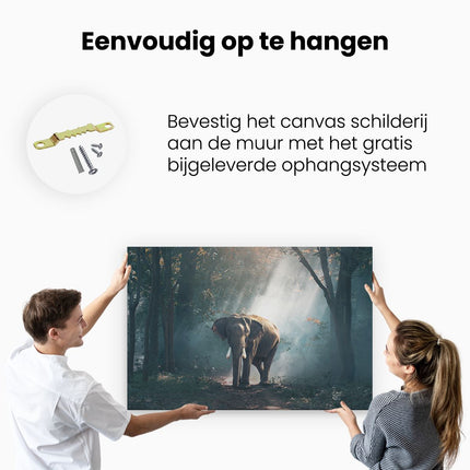 Canvas schilderij ophangen Olifant In Het Bos Met Zonneschijn