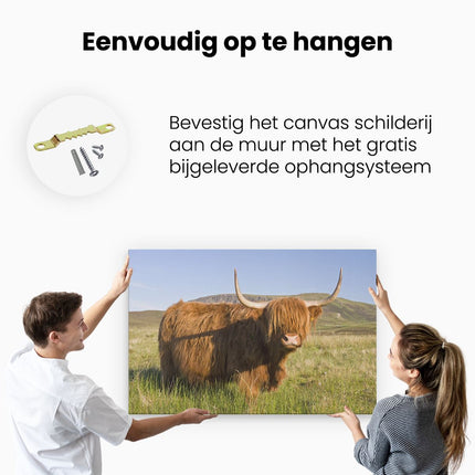 Canvas schilderij ophangen Schotse Hooglander Koe - Kleur