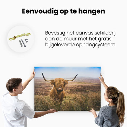 Canvas schilderij ophangen Schotse Hooglander Koe In Het Veld