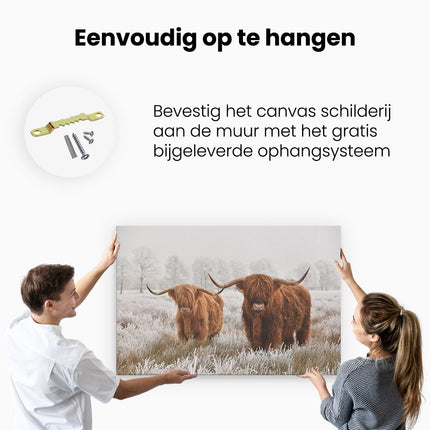 Canvas schilderij ophangen Twee Schotse Hooglander Koeien In De Wei