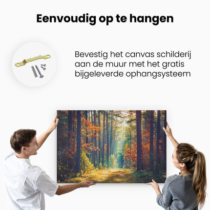 Canvas schilderij ophangen Herfstbos Met Zonneschijn - Kleur