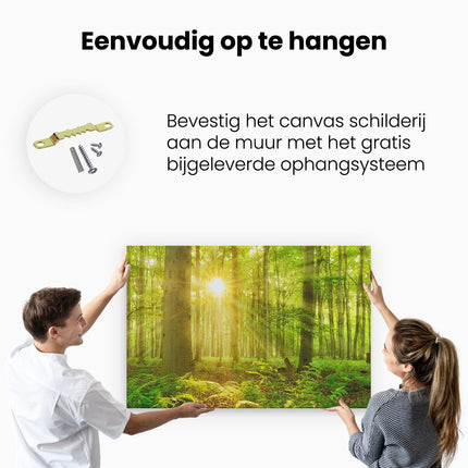 Canvas schilderij ophangen Groen Bos Met Schijnende Zonnestralen