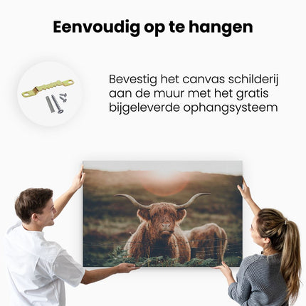 Canvas schilderij ophangen Schotse Hooglander Koe In De Zon