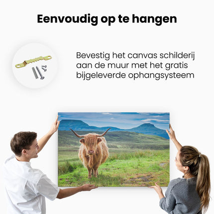 Canvas schilderij ophangen Schotse Hooglander In De Wei - Kleur