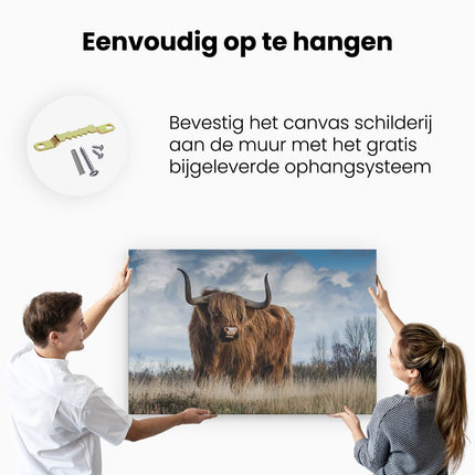 Canvas schilderij ophangen Schotse Hooglander Koe - Kleur