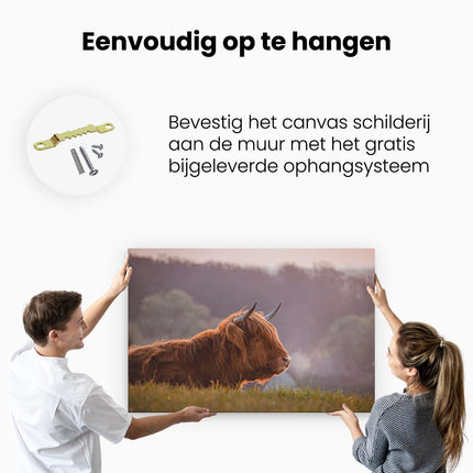 Canvas schilderij ophangen Schotse Hooglander Koe Ligt In Het Gras