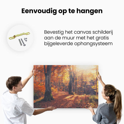 Canvas schilderij ophangen Oranje Herfstbos Met Zonneschijn