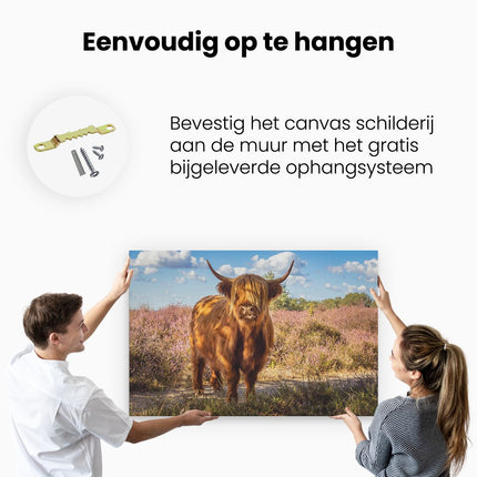 Canvas schilderij ophangen Schotse Hooglander Koe In De Wei