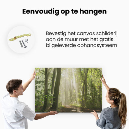 Canvas schilderij ophangen Bos Met Bomen En Zonneschijn