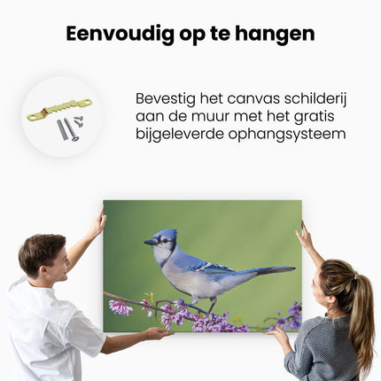 Canvas schilderij ophangen Blauwe Gaai Vogel Op Een Tak - Kleur