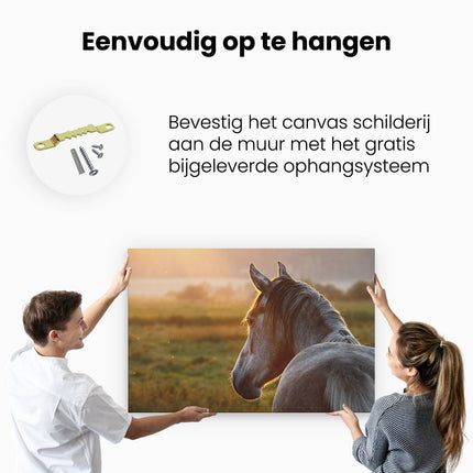 Canvas schilderij ophangen Paard In De Weide Tijdens Zonsondergang