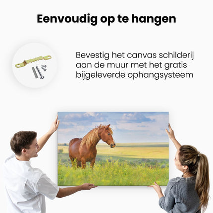 Canvas schilderij ophangen Bruin Paard In De Wei