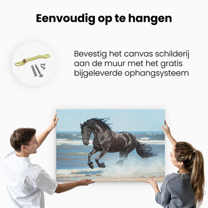 Canvas schilderij ophangen Zwart Paard In Het Water