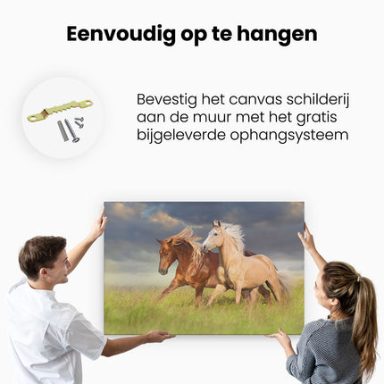 Canvas schilderij ophangen Bruin En Wit Paard In De Wei