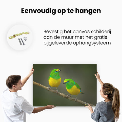 Canvas schilderij ophangen Twee Groen Gele Zangvogels Op Een Tak