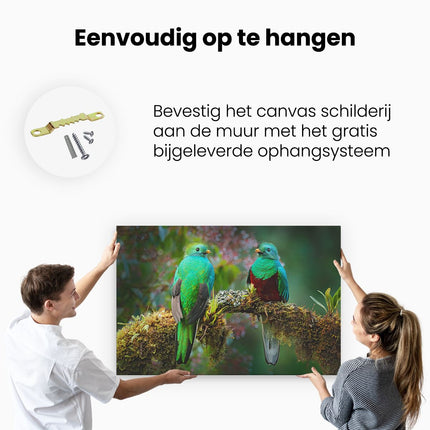 Canvas schilderij ophangen Twee Groene Quetzal Vogels Op Een Tak