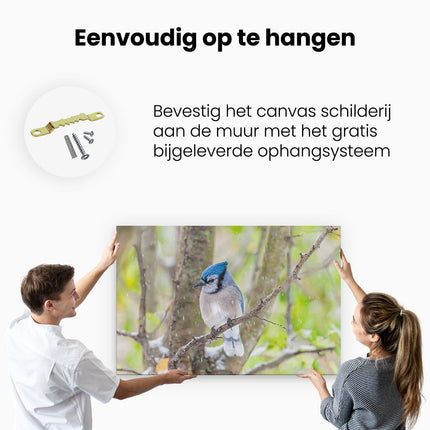 Canvas schilderij ophangen Blauwe Gaai Vogel In De Sneeuw