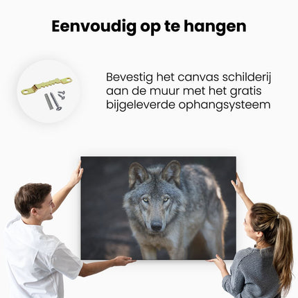 Canvas schilderij ophangen Wolvenkop - Grijze Wolf