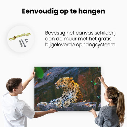 Canvas schilderij ophangen Luipaard Op De Rotsen