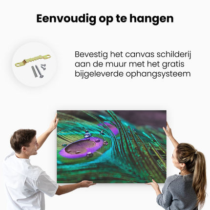 Canvas schilderij ophangen Kleurrijke Pauw Veer Met Waterdruppels