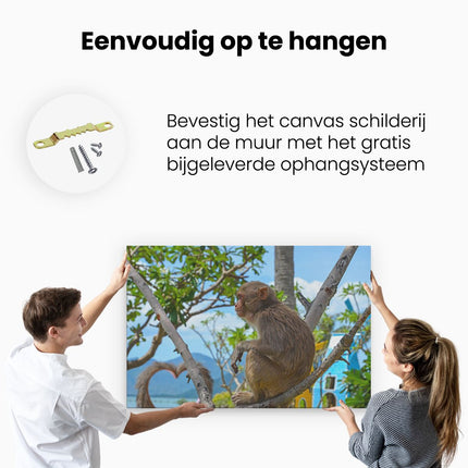 Canvas schilderij ophangen Aap In De Boom