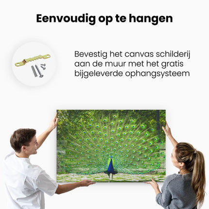 Canvas schilderij ophangen Pauw Met Grote Kleurrijke Veren