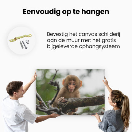 Canvas schilderij ophangen Klein Baby Aapje Op Een Tak