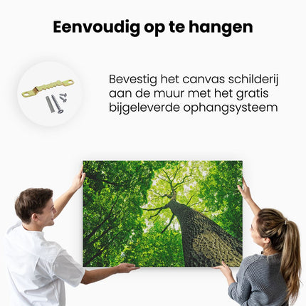 Canvas schilderij ophangen Boom In Het Bos Met Fel Groene Bladeren