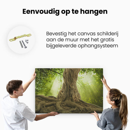 Canvas schilderij ophangen Grote Boom In Het Bos Met Wortels