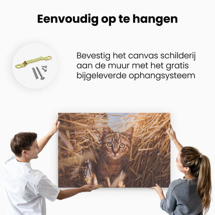 Canvas schilderij ophangen Kat Tussen De Stro Balen