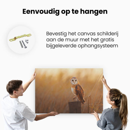 Canvas schilderij ophangen Kerkuil Op Een Boomstronk