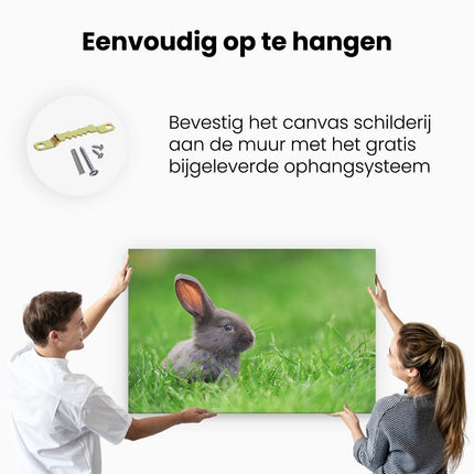 Canvas schilderij ophangen Konijn In Het Gras