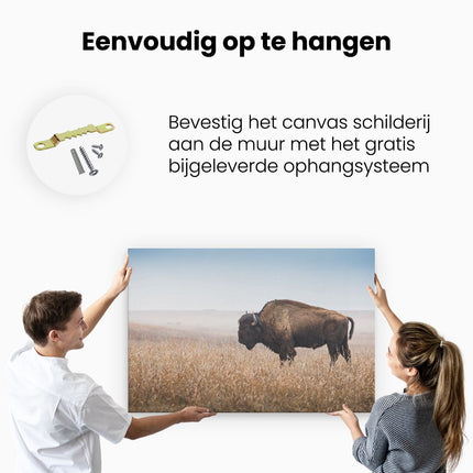 Canvas schilderij ophangen Bizon in het Gras