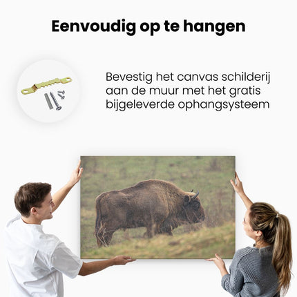 Canvas schilderij ophangen Bizon in het Gras