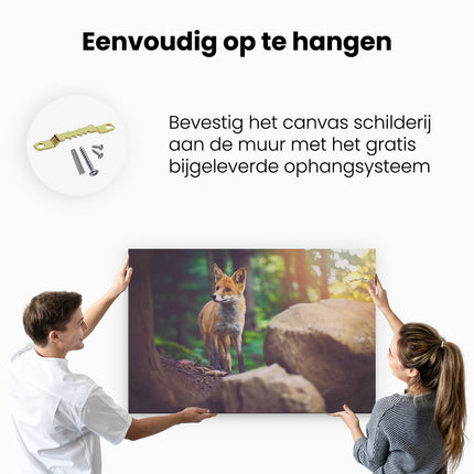 Canvas schilderij ophangen Vos in het Bos bij Stenen