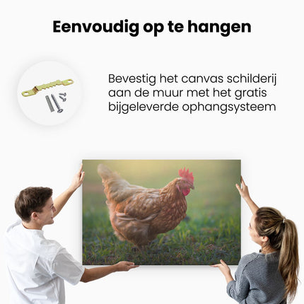 Canvas schilderij ophangen Kip in het Gras