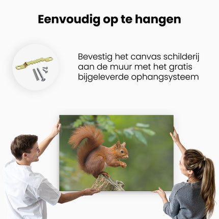 Canvas schilderij ophangen Eekhoorn op een Boomstam in het Bos