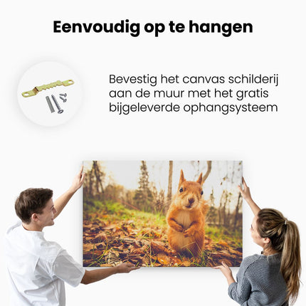 Canvas schilderij ophangen Eekhoorn in het Bos tijdens de Herfst