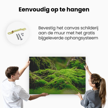 Canvas schilderij ophangen Groen Mos