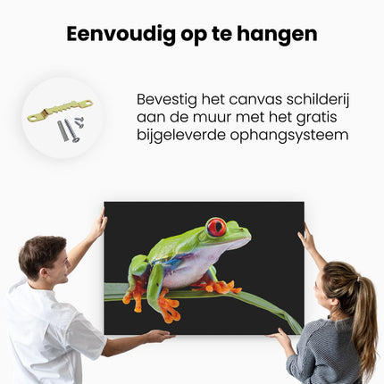 Canvas schilderij ophangen Kikker met Rode Ogen op een Plant