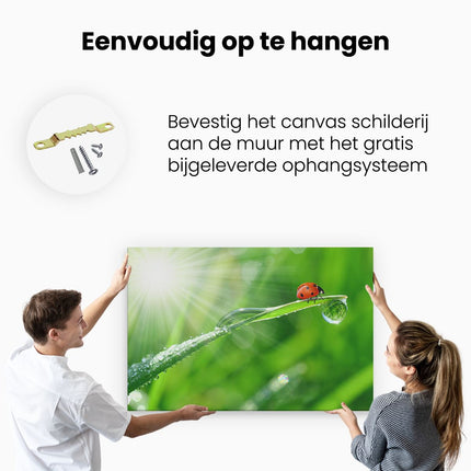 Canvas schilderij ophangen Lieveheersbeestje op een Grasspriet