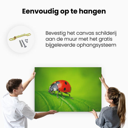 Canvas schilderij ophangen Lieveheersbeestje op een Groen Blad 