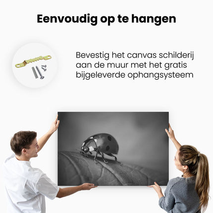Canvas schilderij ophangen Lieveheersbeestje op een Groen Blad  - Zwart Wit