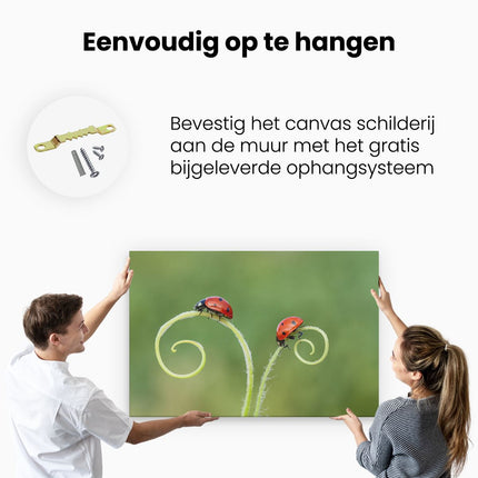 Canvas schilderij ophangen Twee Lieveheersbeestjes in het Gras