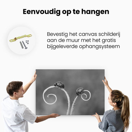 Canvas schilderij ophangen Twee Lieveheersbeestjes in het Gras - Zwart Wit