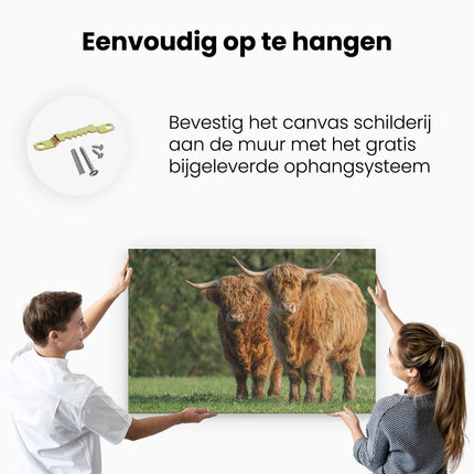 Canvas schilderij ophangen Twee Schotse Hooglanders in de Groene Weide